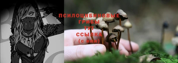 гашиш Коряжма