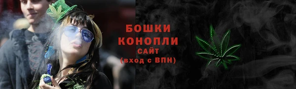mix Козельск