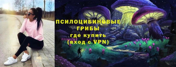 mix Козельск